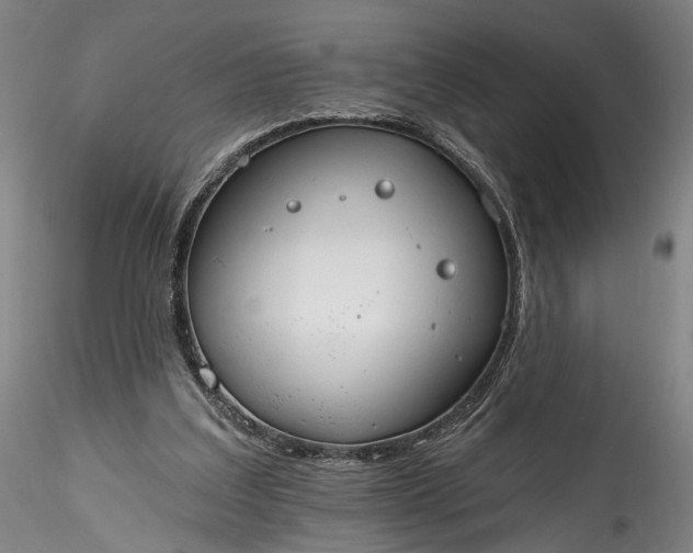 X0000115790203200911271234