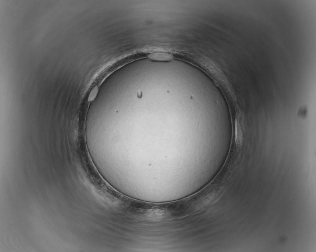 X0000115790204200911271234