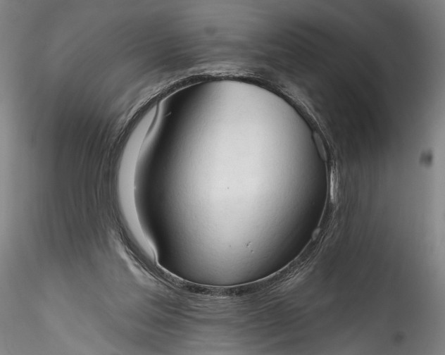 X0000115790205200911271234