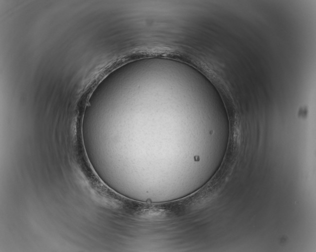 X0000115790206200911271234