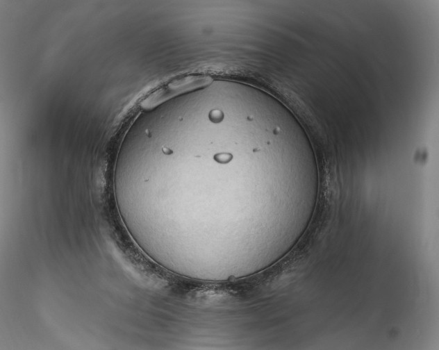 X0000115790208200911271234