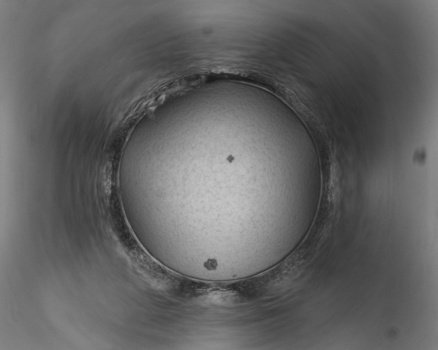 X0000115790210200911271234