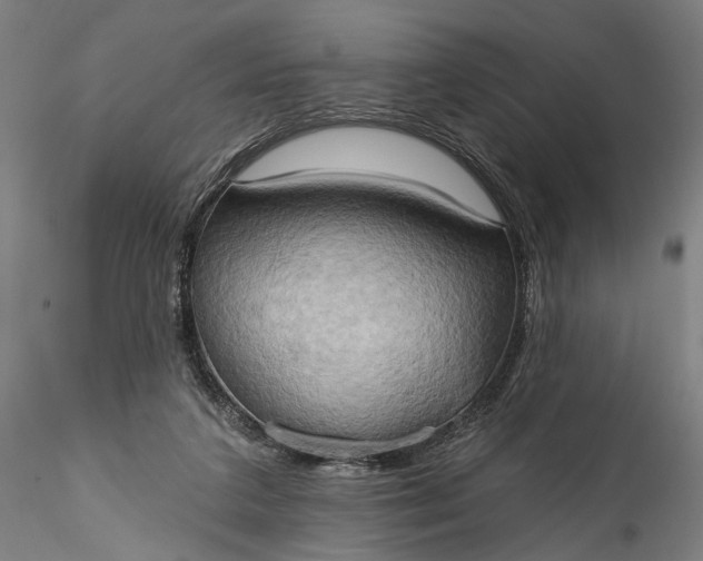 X0000115790211200911271234