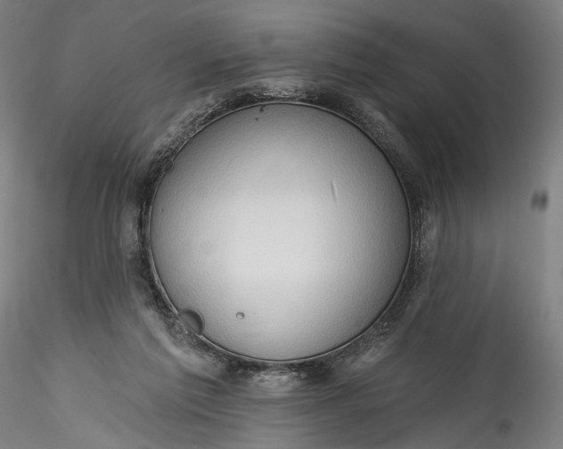 X0000115790213200911271234