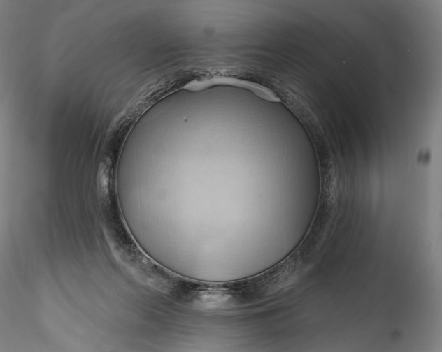 X0000115790214200911271234