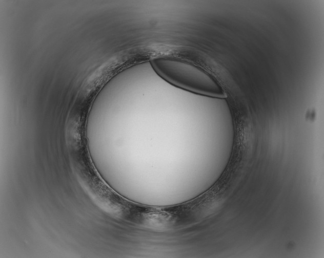 X0000115790215200911271234