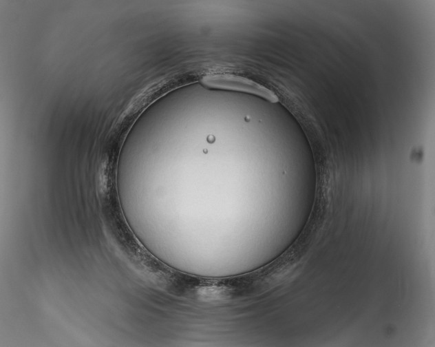 X0000115790216200911271234