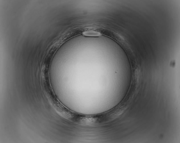 X0000115790217200911271234