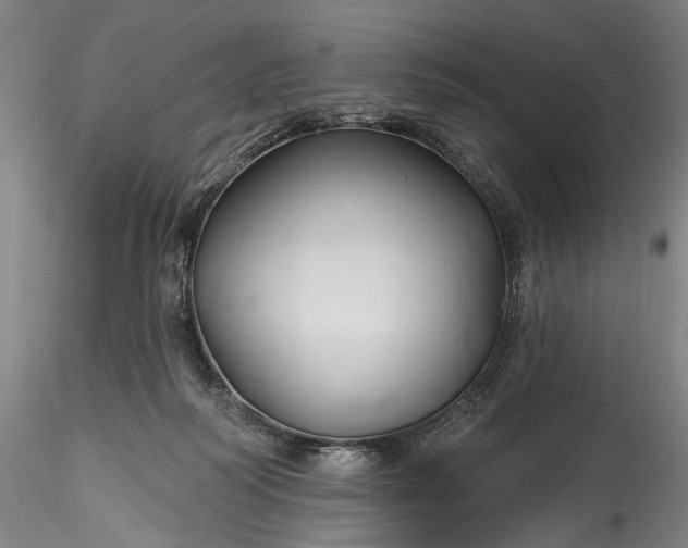 X0000115790218200911271234