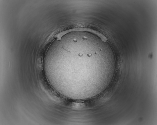 X0000115790220200911271234