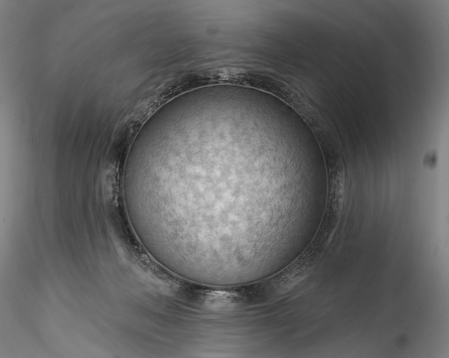 X0000115790222200911271234