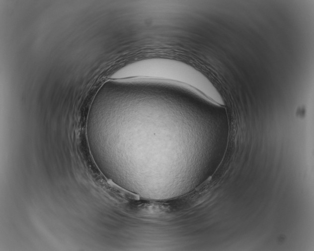 X0000115790223200911271234