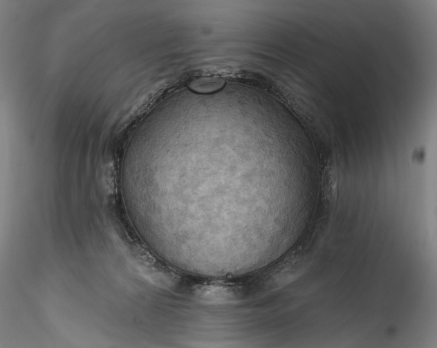 X0000115790224200911271234