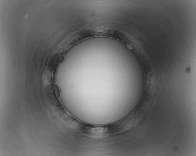 X0000115790225200911271234