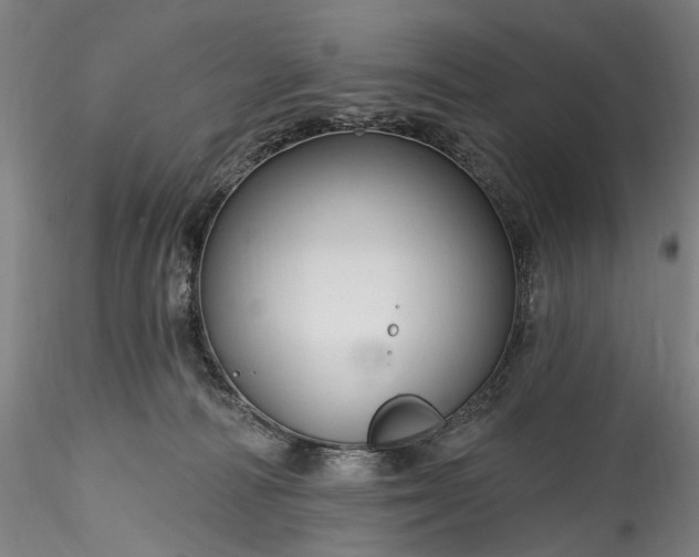 X0000115790226200911271234