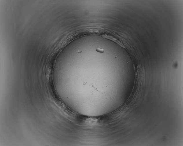 X0000115790227200911271234