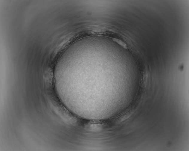 X0000115790228200911271234