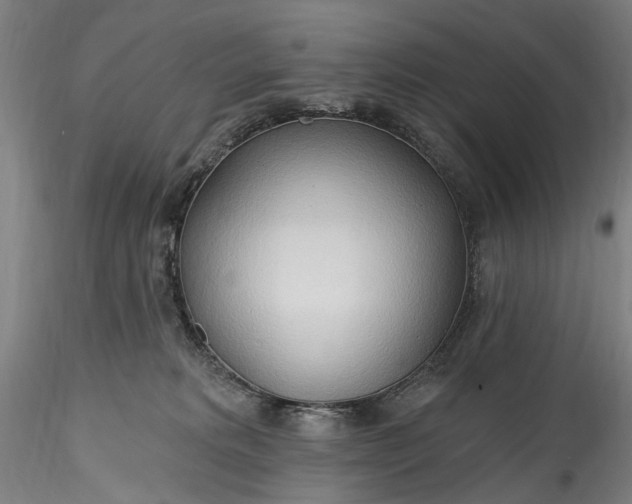 X0000115790229200911271234