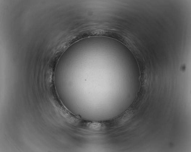 X0000115790230200911271234