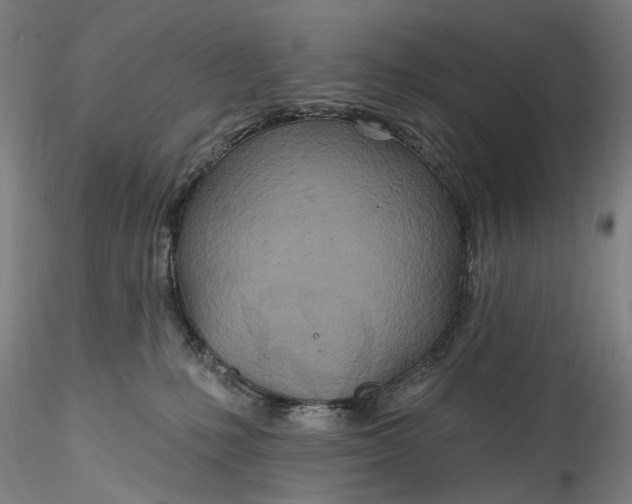 X0000115790231200911271234