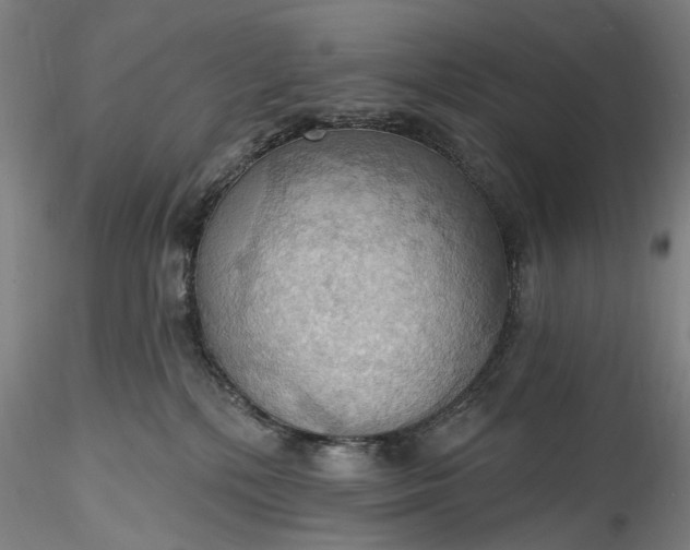 X0000115790232200911271234