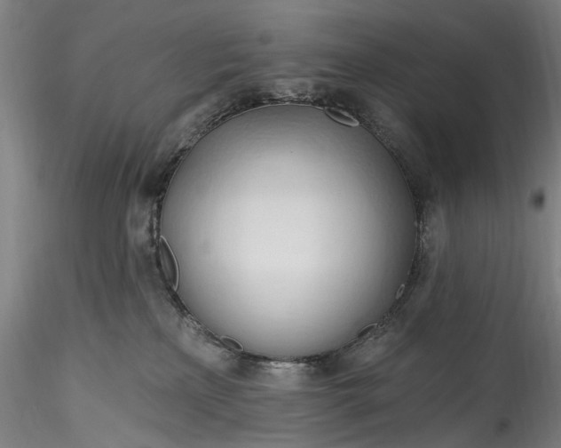 X0000115790233200911271234