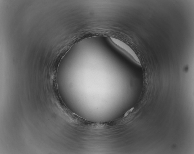 X0000115790235200911271234