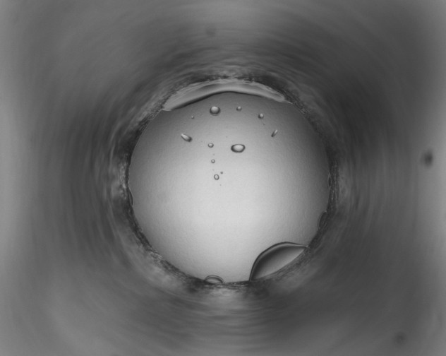 X0000115790236200911271234