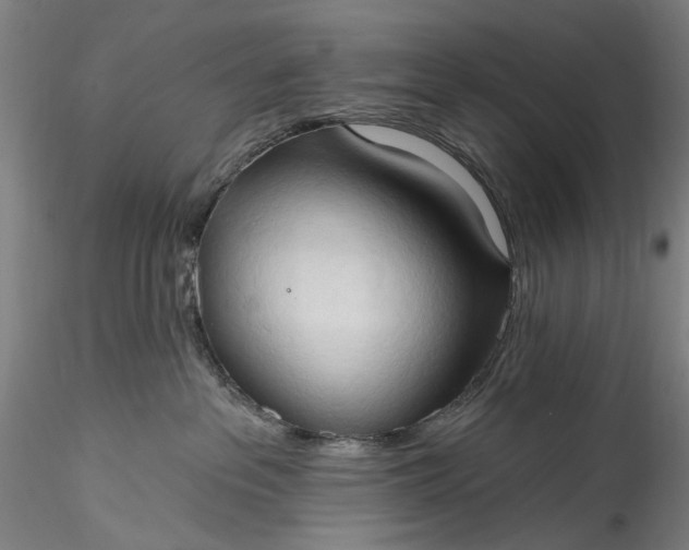 X0000115790237200911271234