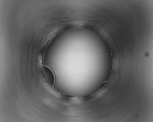 X0000115790238200911271234