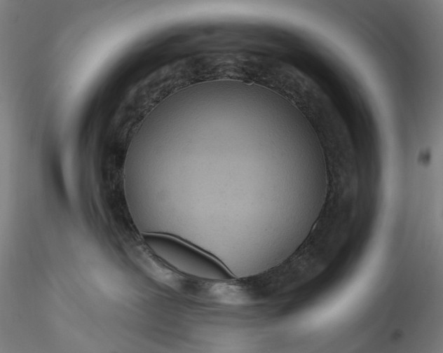 X0000115790239200911271234