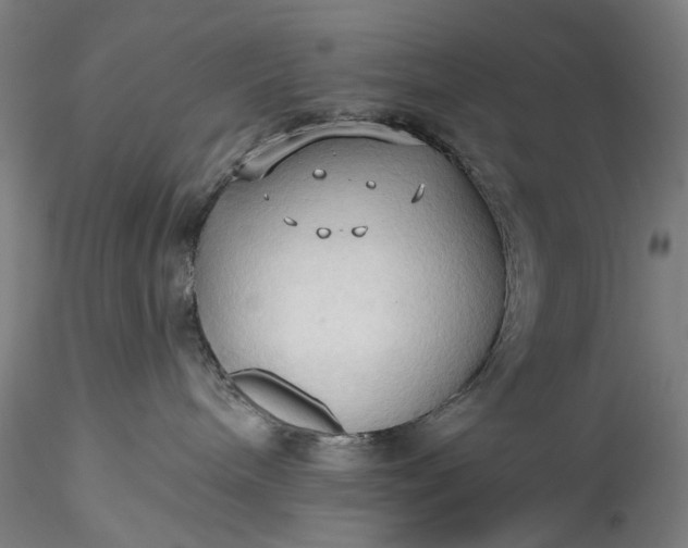 X0000115790240200911271234