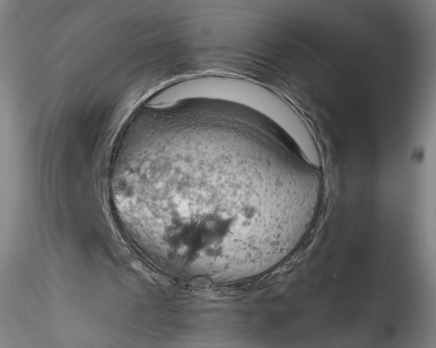 X0000115790241200911271233