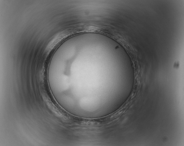 X0000115790242200911271233