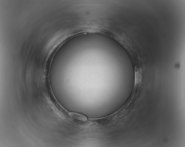 X0000115790243200911271233