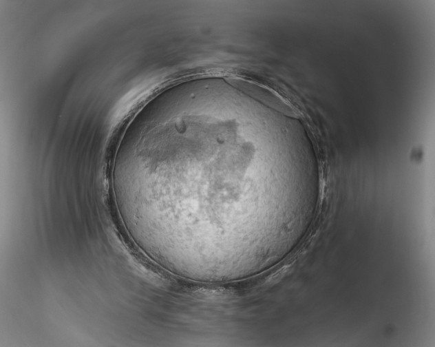 X0000115790245200911271233