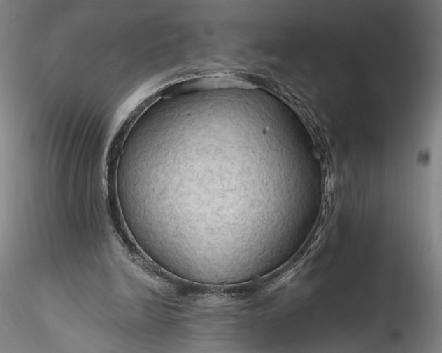 X0000115790246200911271233