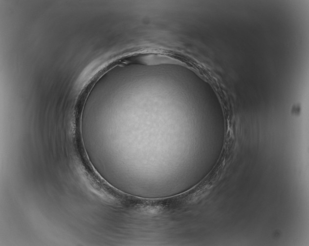 X0000115790247200911271233