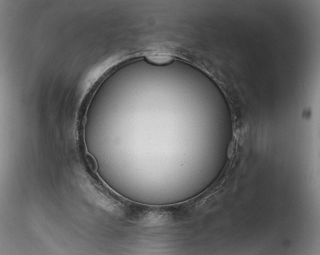 X0000115790248200911271233