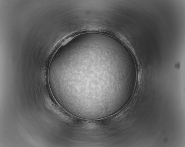 X0000115790249200911271233