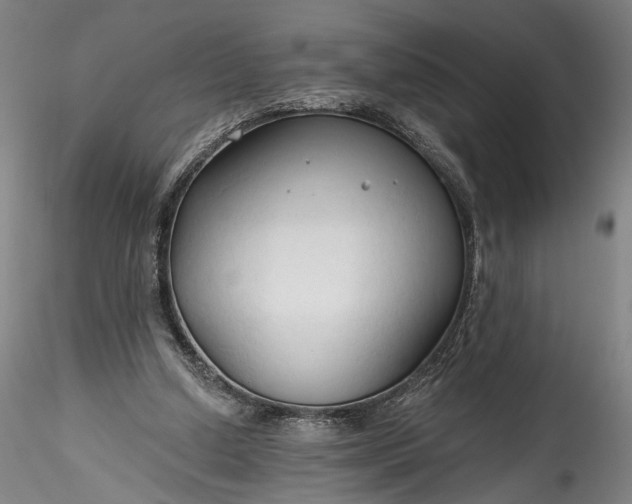 X0000115790250200911271233