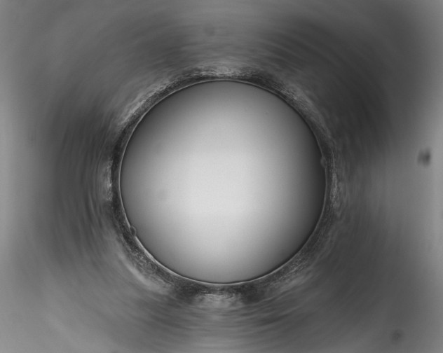 X0000115790251200911271233