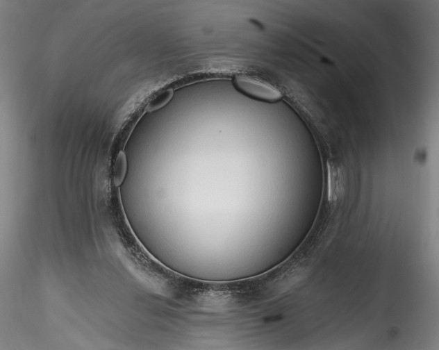 X0000115790252200911271233