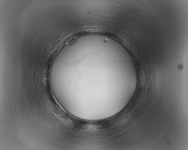 X0000115790255200911271233