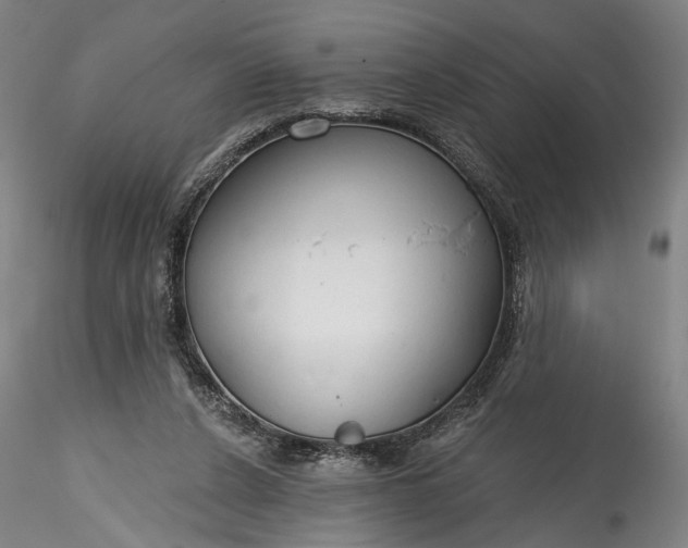 X0000115790256200911271233