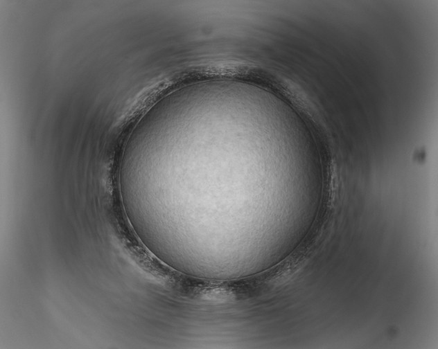 X0000115790258200911271233