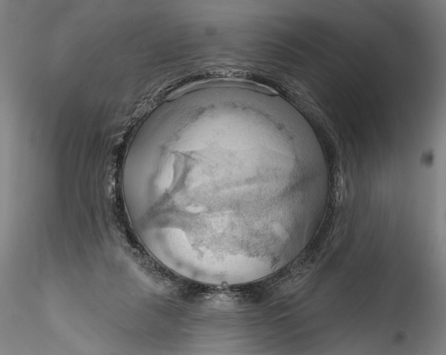 X0000115790259200911271233