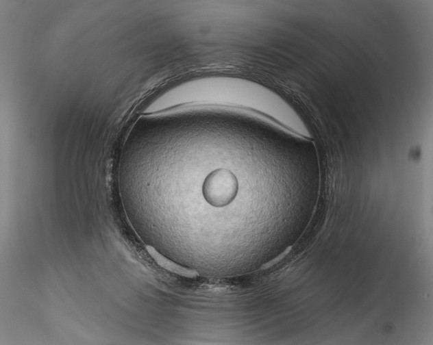 X0000115790260200911271233