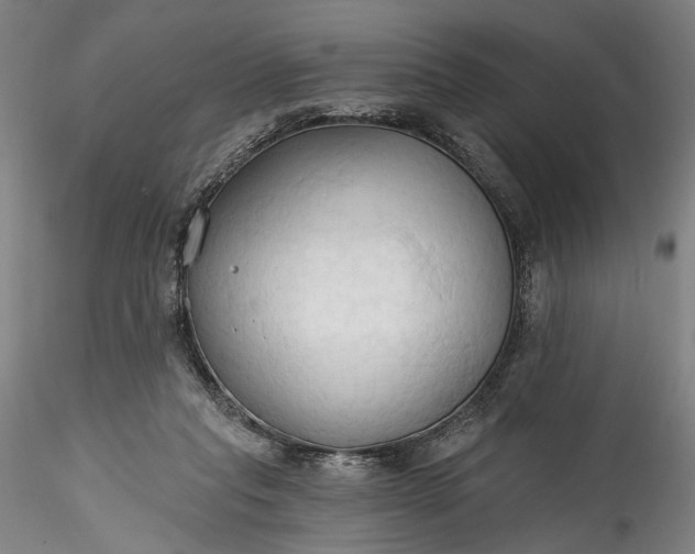 X0000115790261200911271233