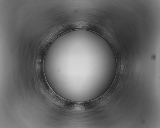 X0000115790263200911271233